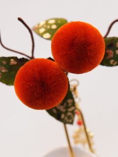 【条码价:462】好柿成双250700017