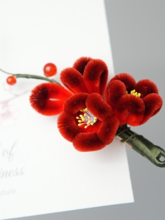 【条码价：231】秀梅发夹250700072