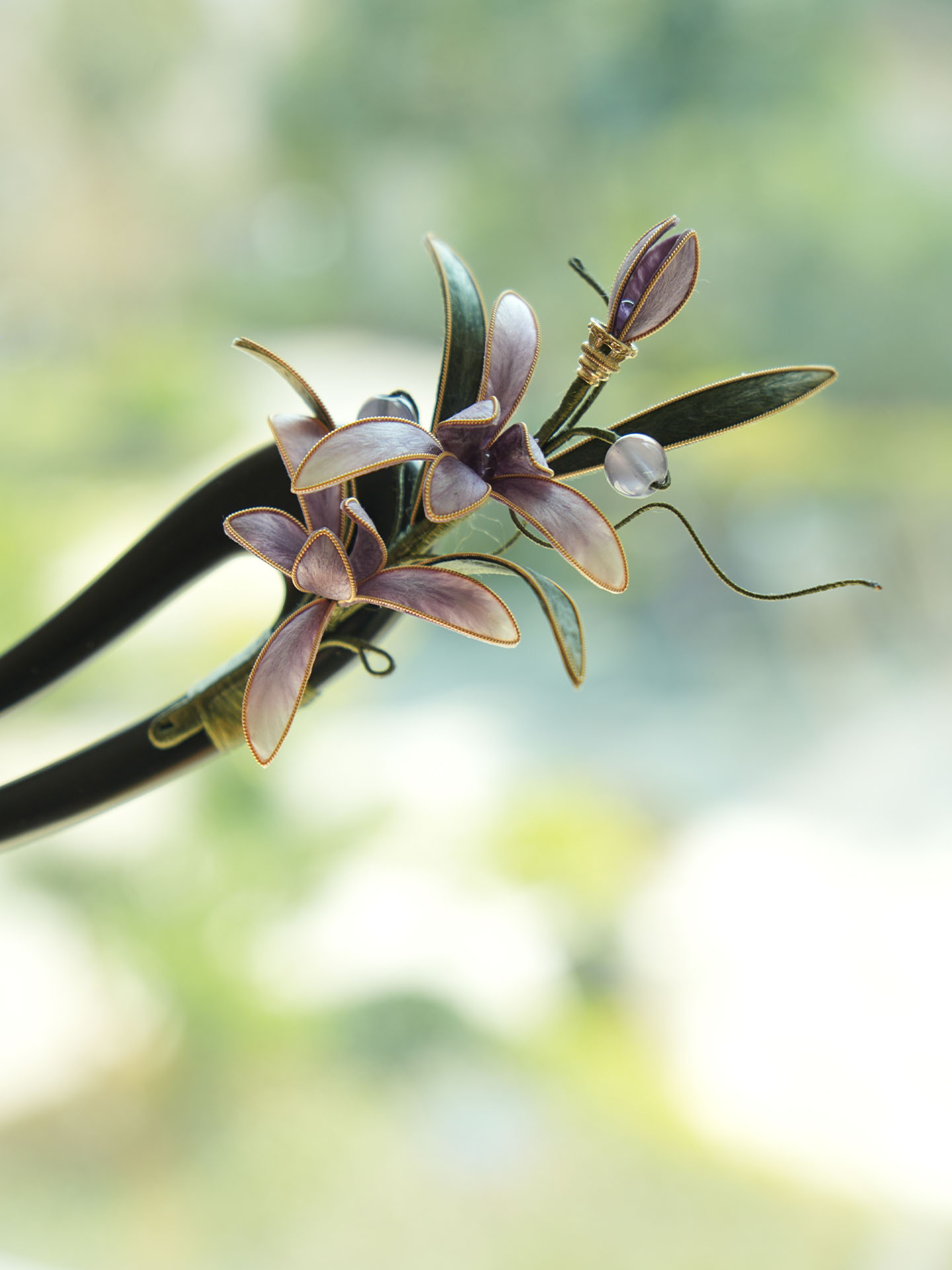 紫兰衔春[兰花]